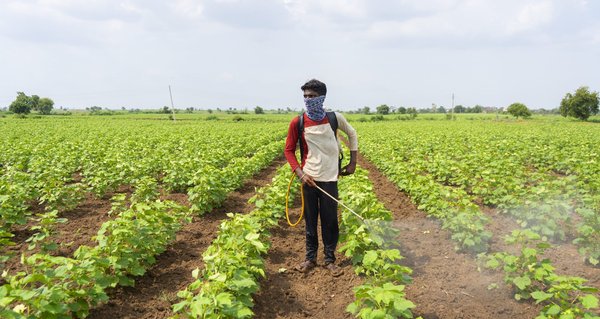 How Does the Use of Pesticides in Agriculture Affect Human Health?